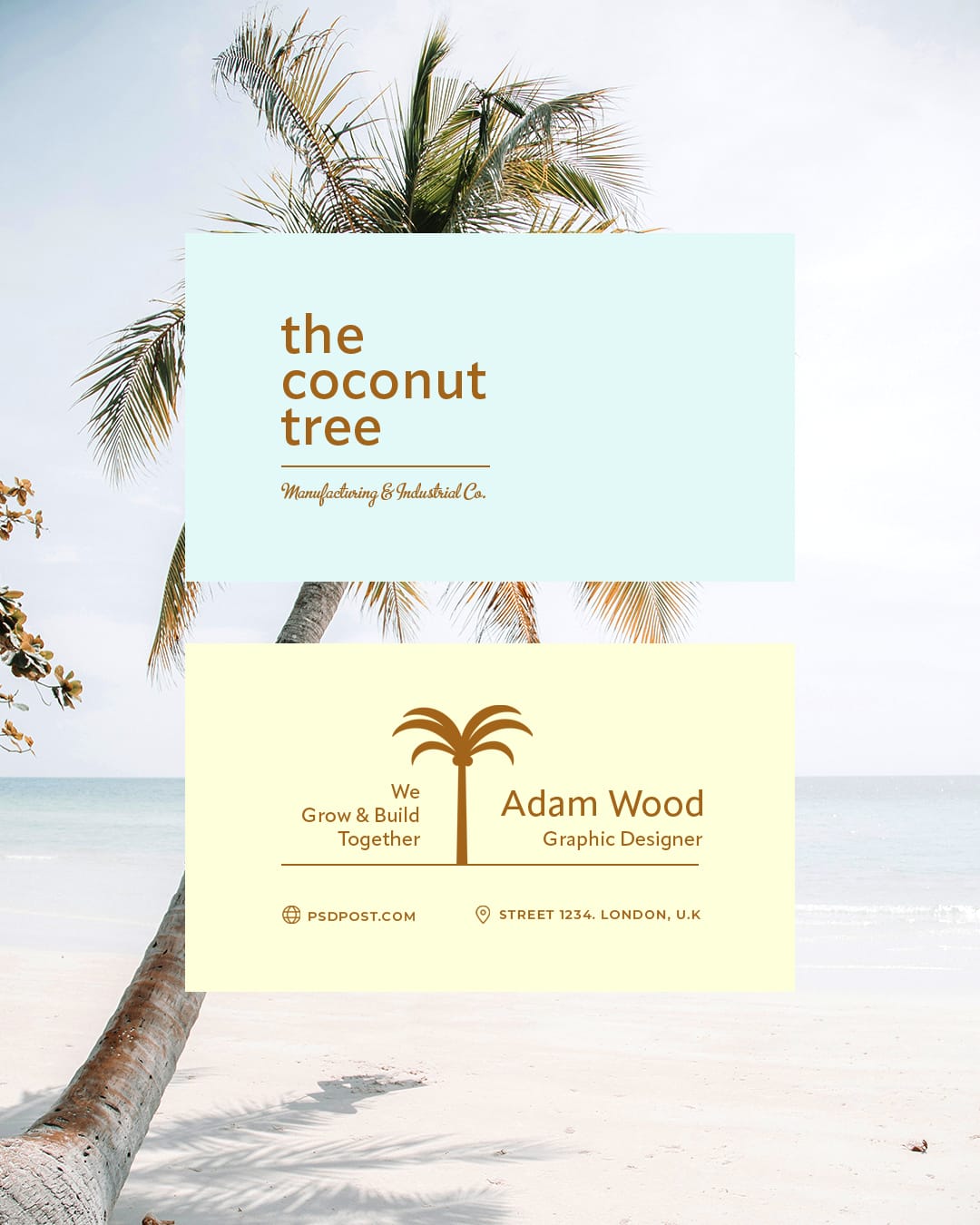 Business Card Mockup Coconut Tree