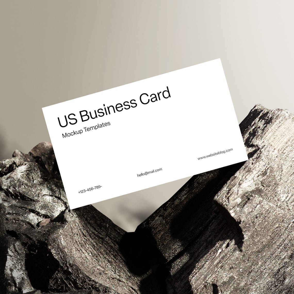 Us Business Card Mockup