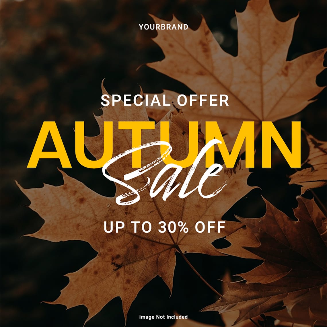 Special Offer Autumn Sale