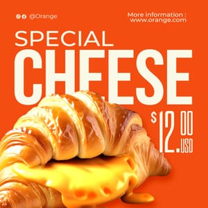 Special Cheese Orange